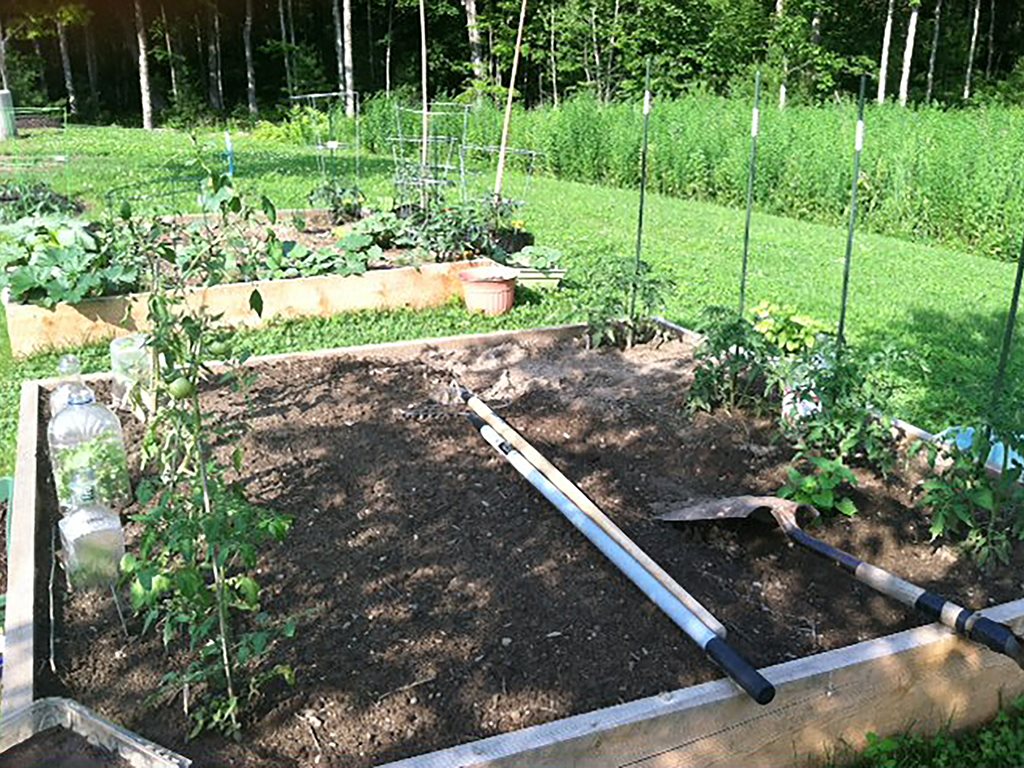 Gallery Photo 2